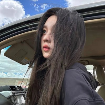 斑马头
